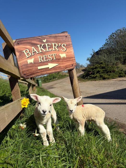 Bakers Rest, a farmhouse escape