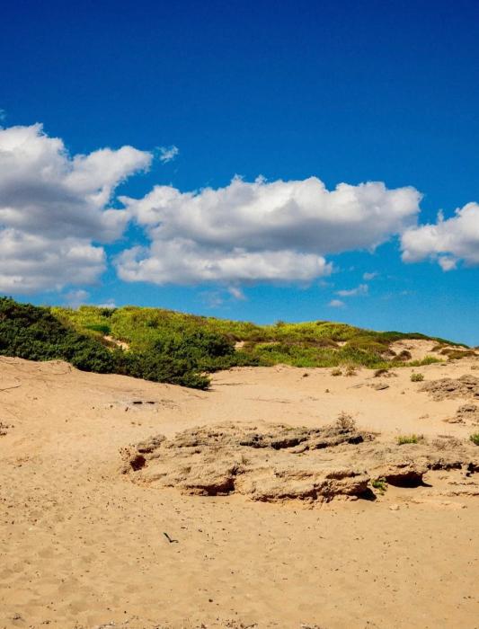 campomarino house cont3ttateci