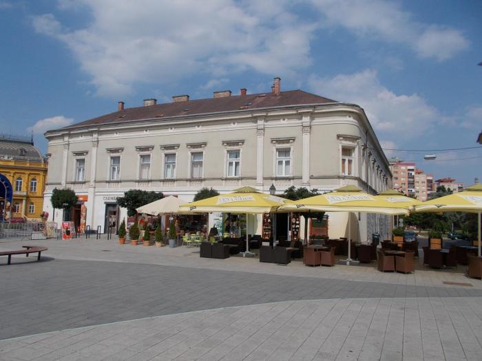 Buy the Wall Apaartman