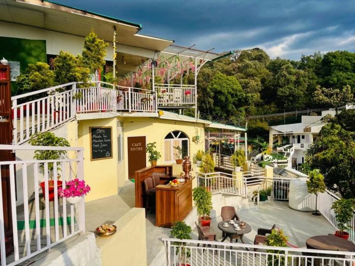 Oliva by Quercus Oak Stays