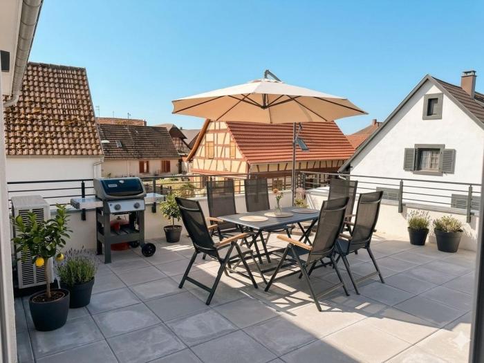 Large terrace, close to Europapark, pets ok