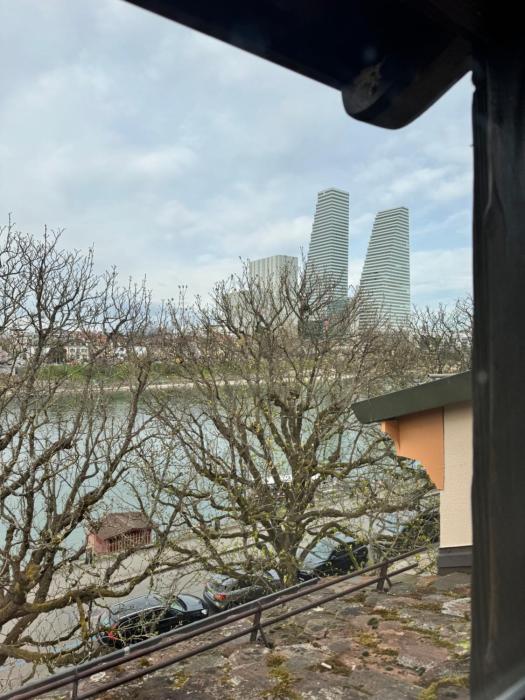 Studio 8 Rhine View - Quiet and Cozy - 10min Walk to City Center, 15min to Main Station