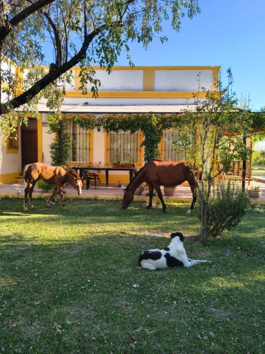 Finca La Penúltima-Posada