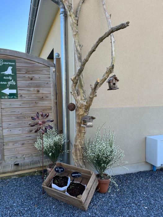 Les gîtes de la Baie la hutte