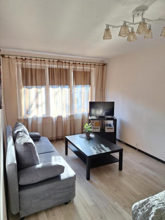 1 room apartment in Statybininku pr.