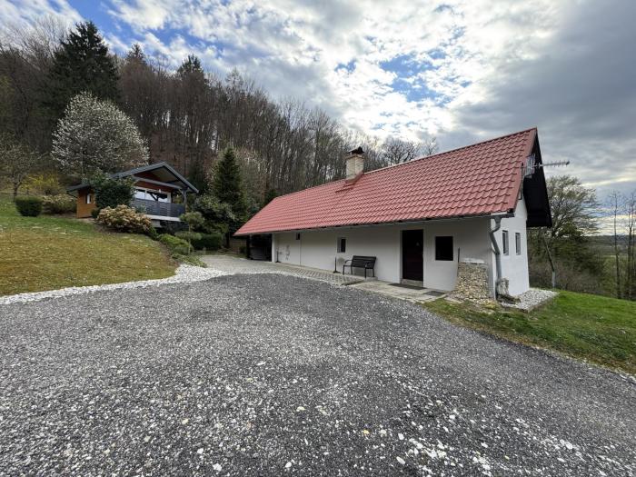 Secret Forest Retreat