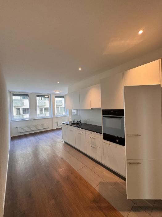 Business Apartment for longterm stay at Zurich Central