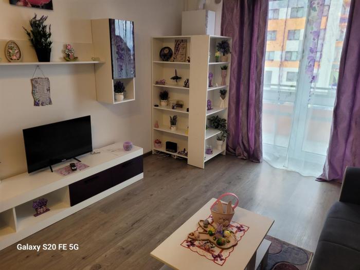 Casa cu lavanda