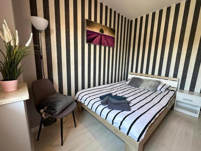 S74 Mieszkanie do wynajęcia