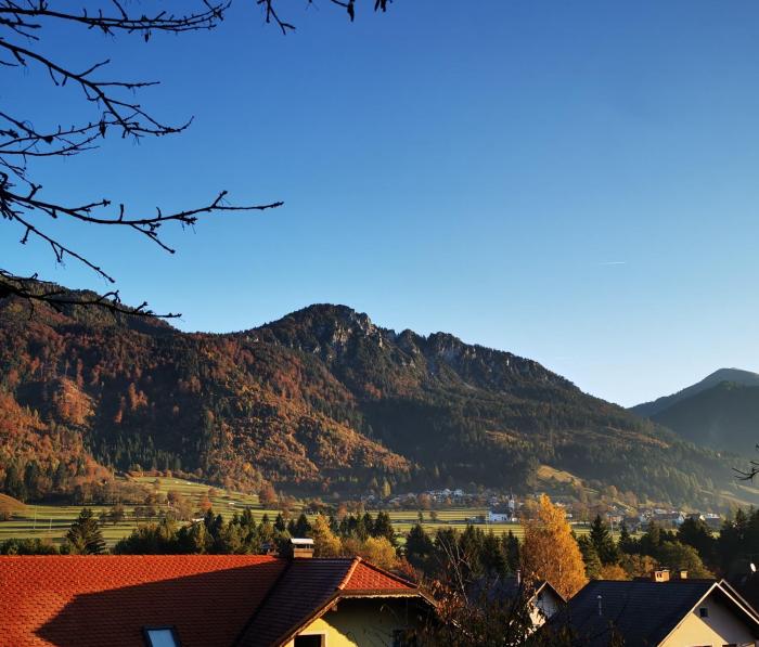 Mountain View Mojstrana