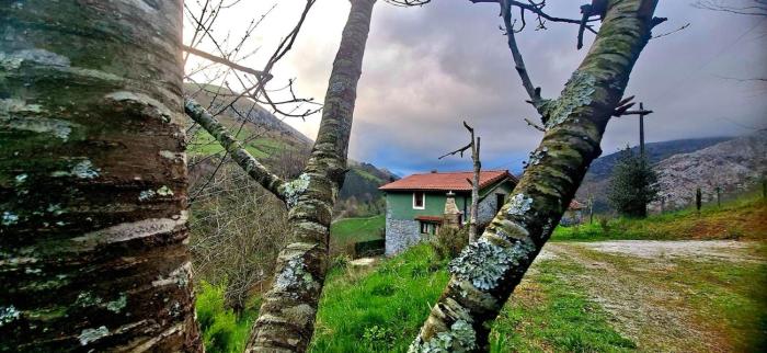 El Rincón de la Naturaleza