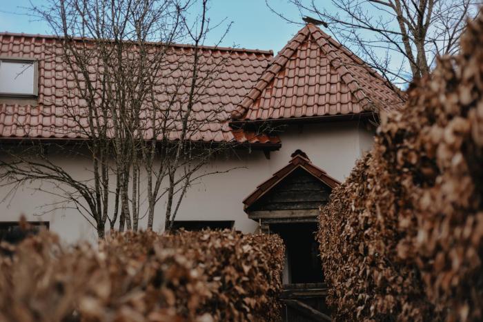 Domek gdzie śpią żurawie