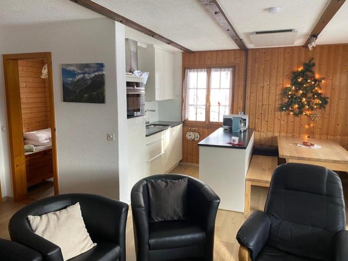 Renewed apartment 6 à 7 personen in chalet Shalom