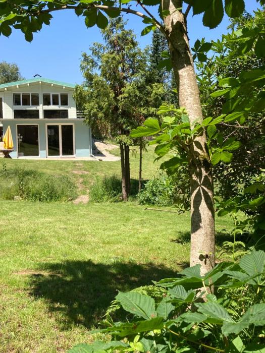 Waldchalet