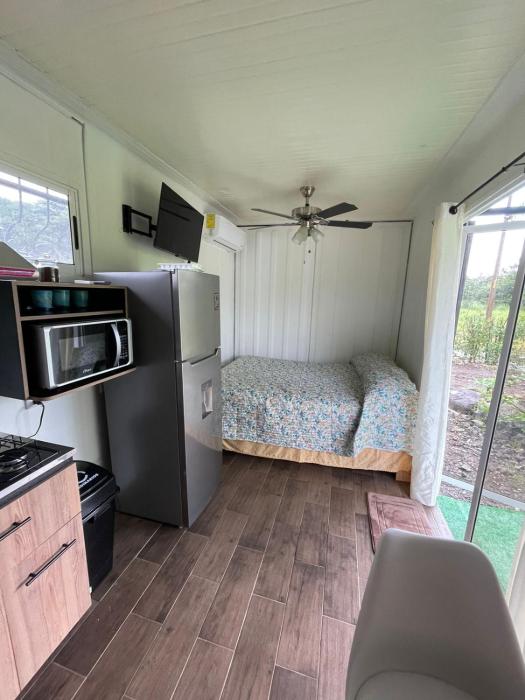 Quédate Aquí Papagayo Sobre Ruta 253