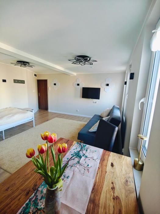 Modern Studio Park Kasprowicza