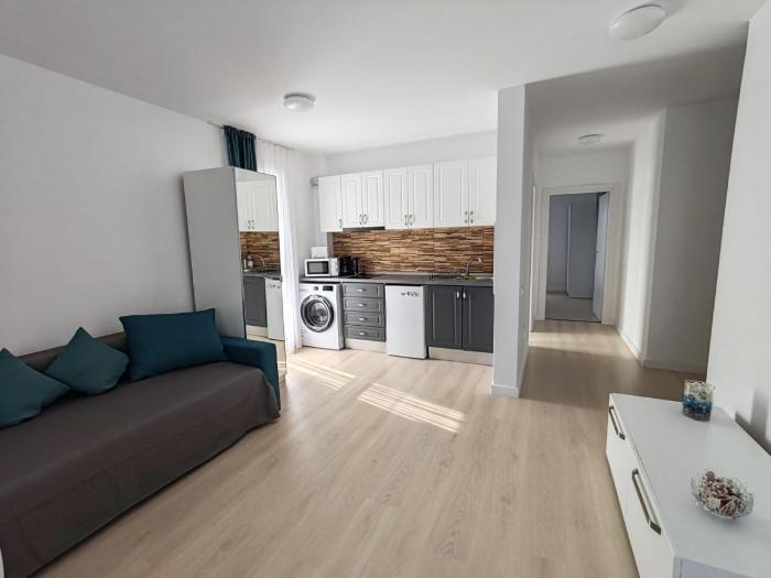 Cozy apartment Vama Veche