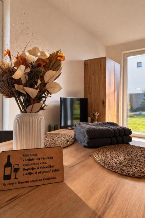 Slunečný apartmán s předzáhradkou Pasohlávky
