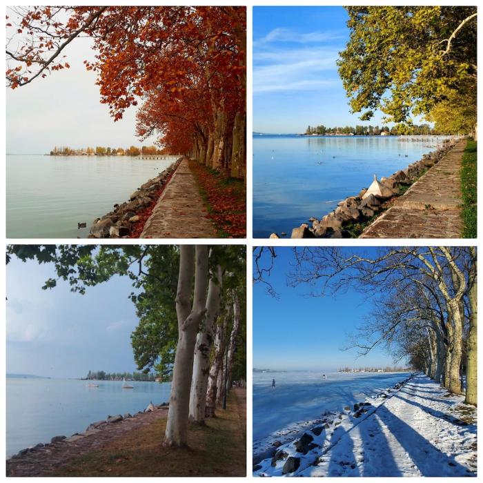 Keltafok Apartman, Balatonföldvár