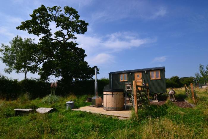 Charlotte-Rose Shepherds Hut