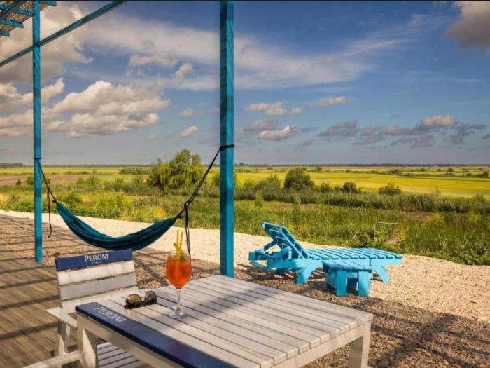 Danube Delta View