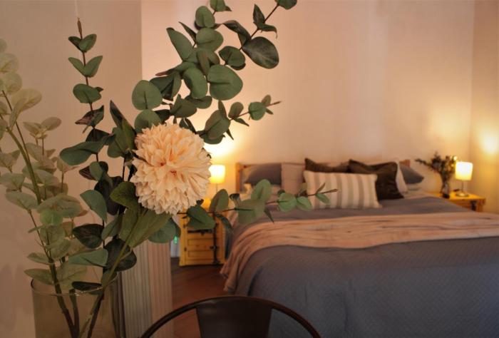 Rutis House - Monolocale con travi a vista vicino Malpensa e Milano Rho Fiera