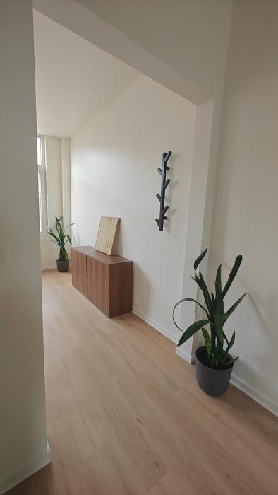 BnB 26