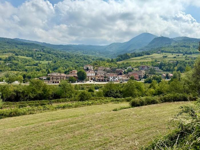 Panoramic apartment among the Oltrepò vineyards