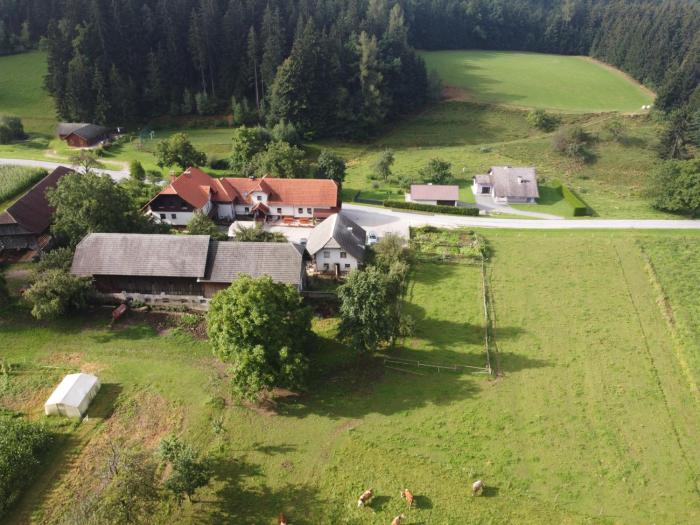 Tourist Farm Klevž