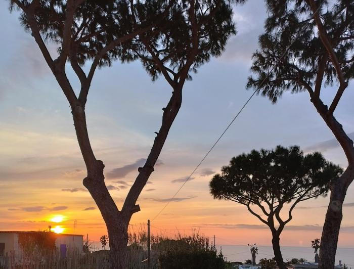 Villa Olivia Residence Ischia - nel Verde con Piscine e Vista Mare