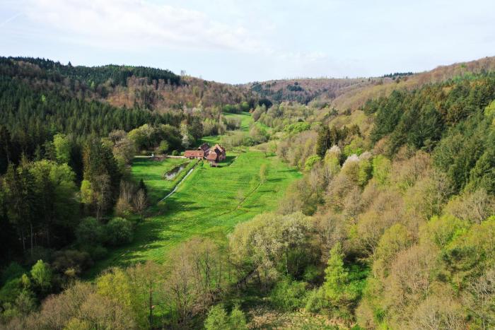 Maison dhôtes complète La Paulusmühle