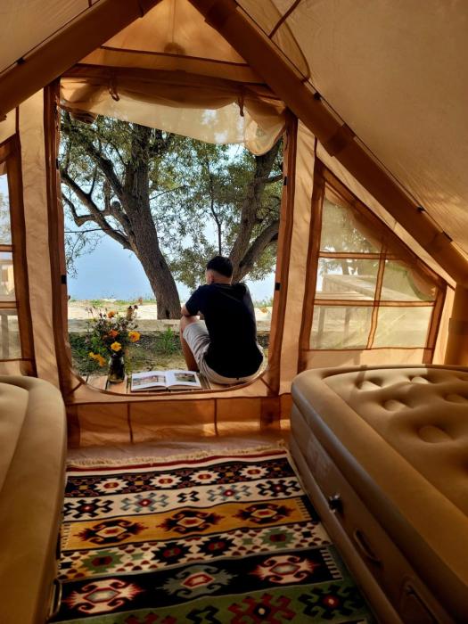 Cimarte The Path Lukove