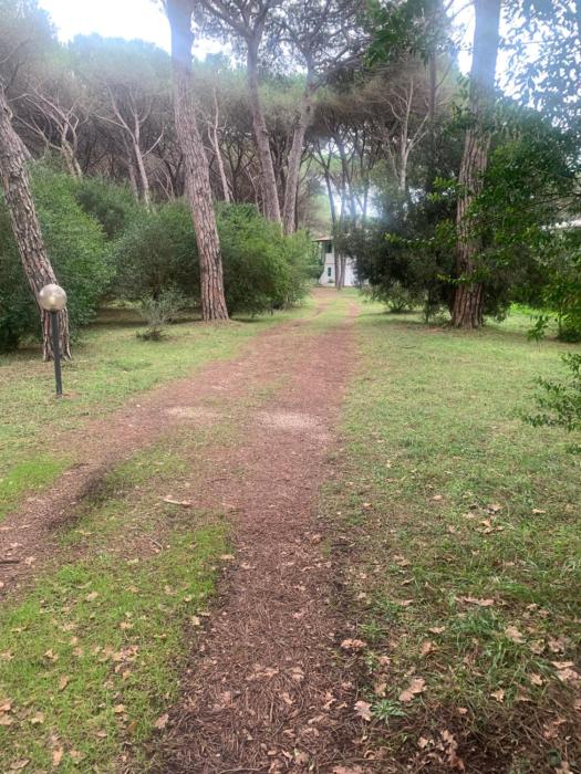 Appartamento in pineta La Falena