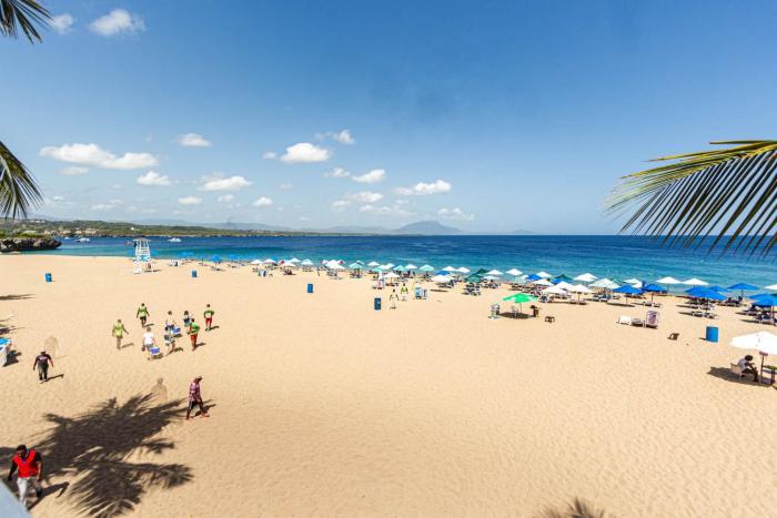 Hispanola Sol, Playa Alicia