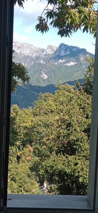 Floras Nest - Oasis of peace with a view of the Apuan Alps