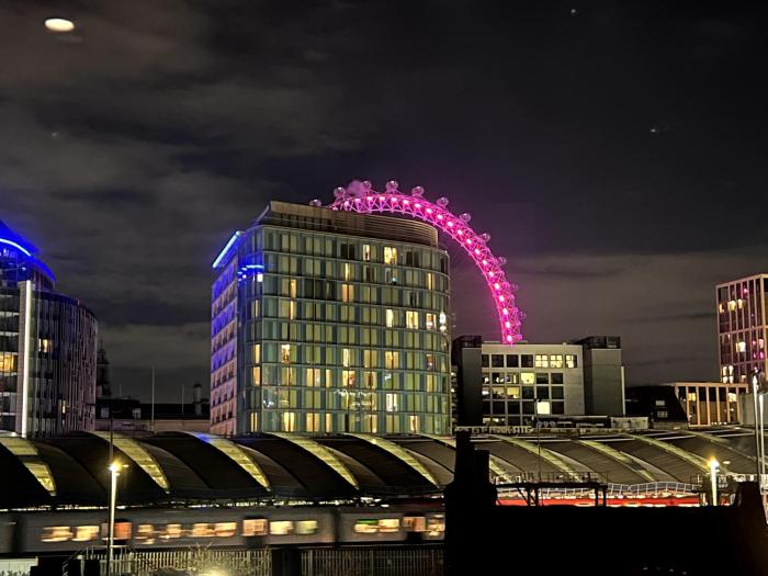 LM13 Stay - Apartment, Penthouse & Duplex - South Bank, London Eye Views
