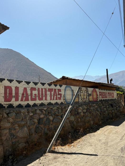 VALLE DEL ELQUI, DIAGUITAS-parcela