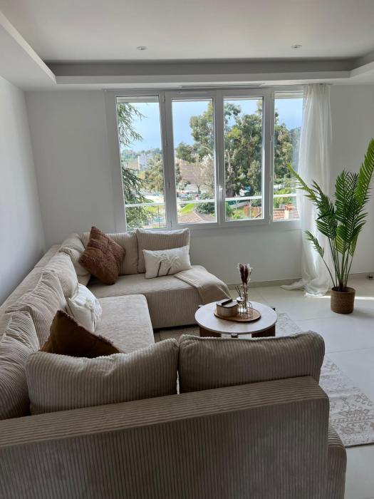 Cannes Apartment