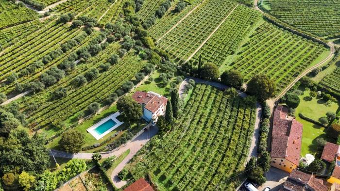 Villa LOasi nel Vigneto con Piscina