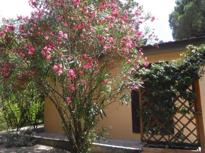 unifamiliare isola delba