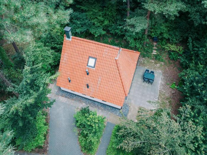 The Molshoop - In the middle of the forest
