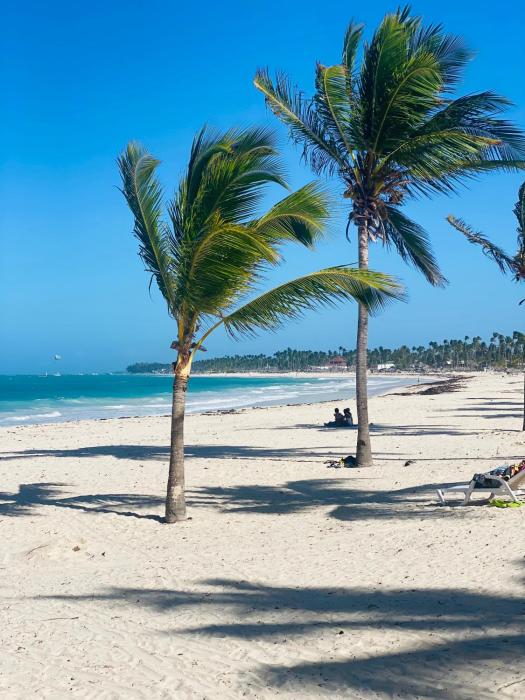 La Villita Breeze Garden