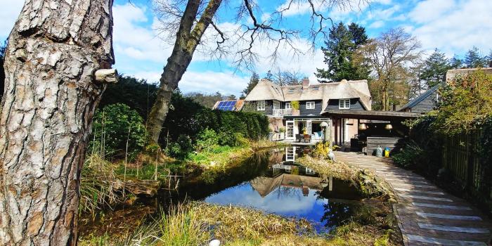 Exclusive forest villa with private spa natural swimming pool