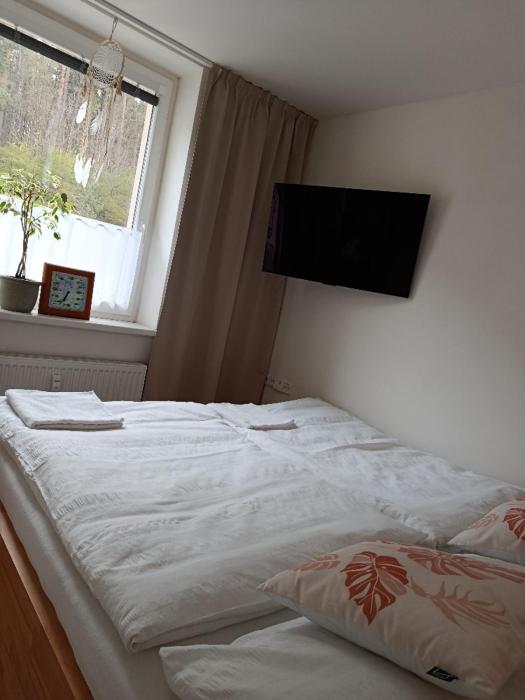 Apartmán s terasou REZIDENCE 300 Všemina