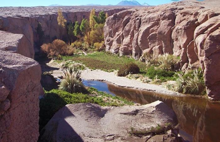 Oasis terrenal Toconao