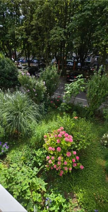 Ferienwohnung Zentrum