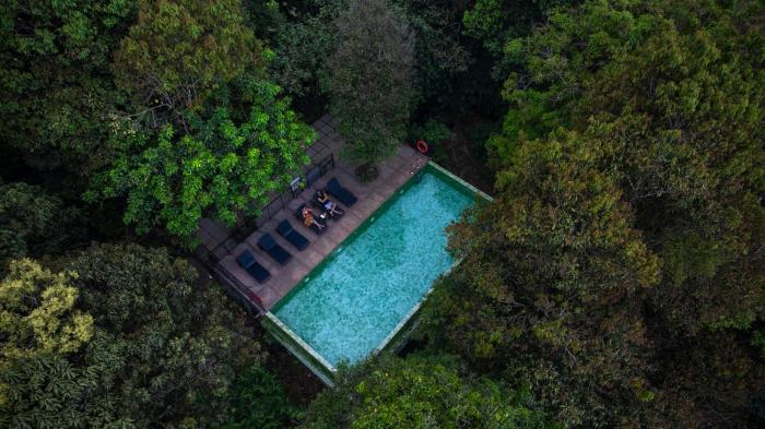 Wayanad Wild - A CGH Earth Experience