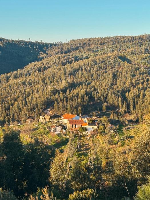 Alojamento Local Vale dos Vascos