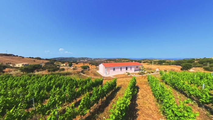 Il Sughereto In Vigna