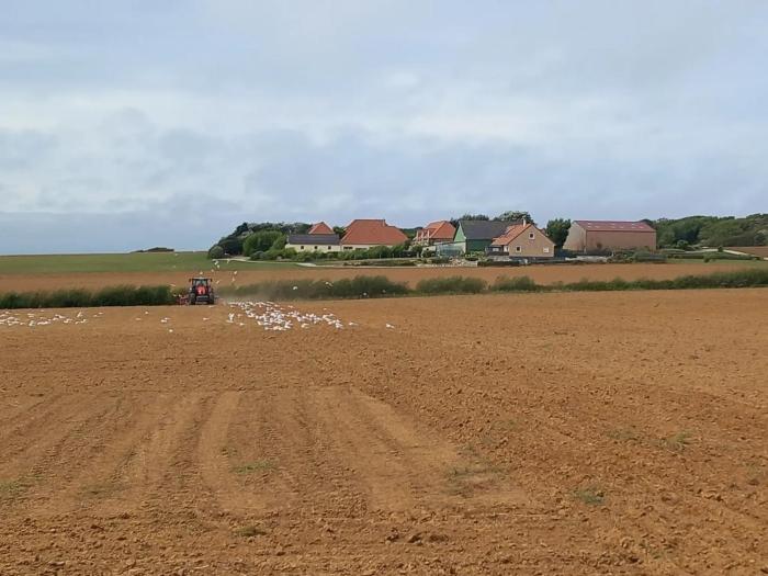La ferme des 4 vents